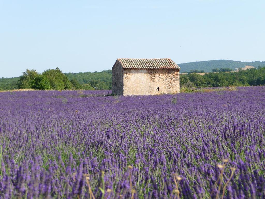 Résidence Les Peupliers Loriol-du-Comtat Esterno foto